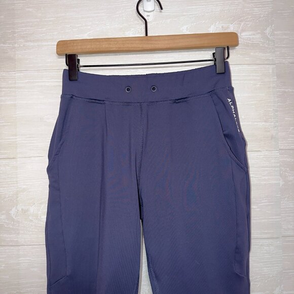 Alphalete Premium Joggers Size Small Navy Blue Athletic Fitness Pants - Picture 3 of 6